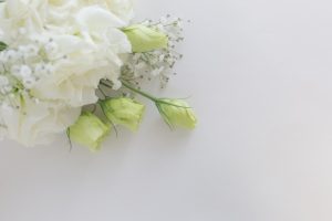 11月スクール予約状況